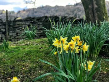 Lake District Explorer (Full Day Tour)